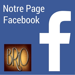 Facebook Les BrioFolies