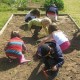 jardin solaire gourmand de brières les scellés