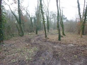 photo du nouveau chemin d'accès au parc de Brieres