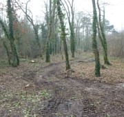 photo du nouveau chemin d'accès au parc de Brieres