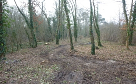 photo du nouveau chemin d'accès au parc de Brieres