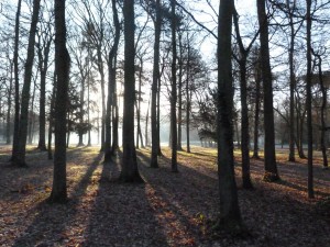 Parc de Brières les Scellés