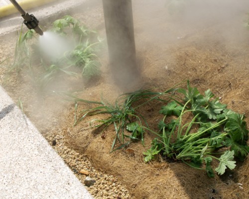 deherbage sans pesticide à Brières le Scellés