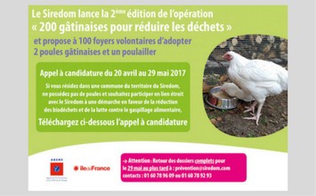200 poules gâtinaises pour réduire les déchets