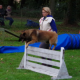 concours de chien de Brières du 28-29 Octobre