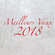 voeux brieres 2018