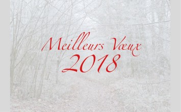 voeux brieres 2018