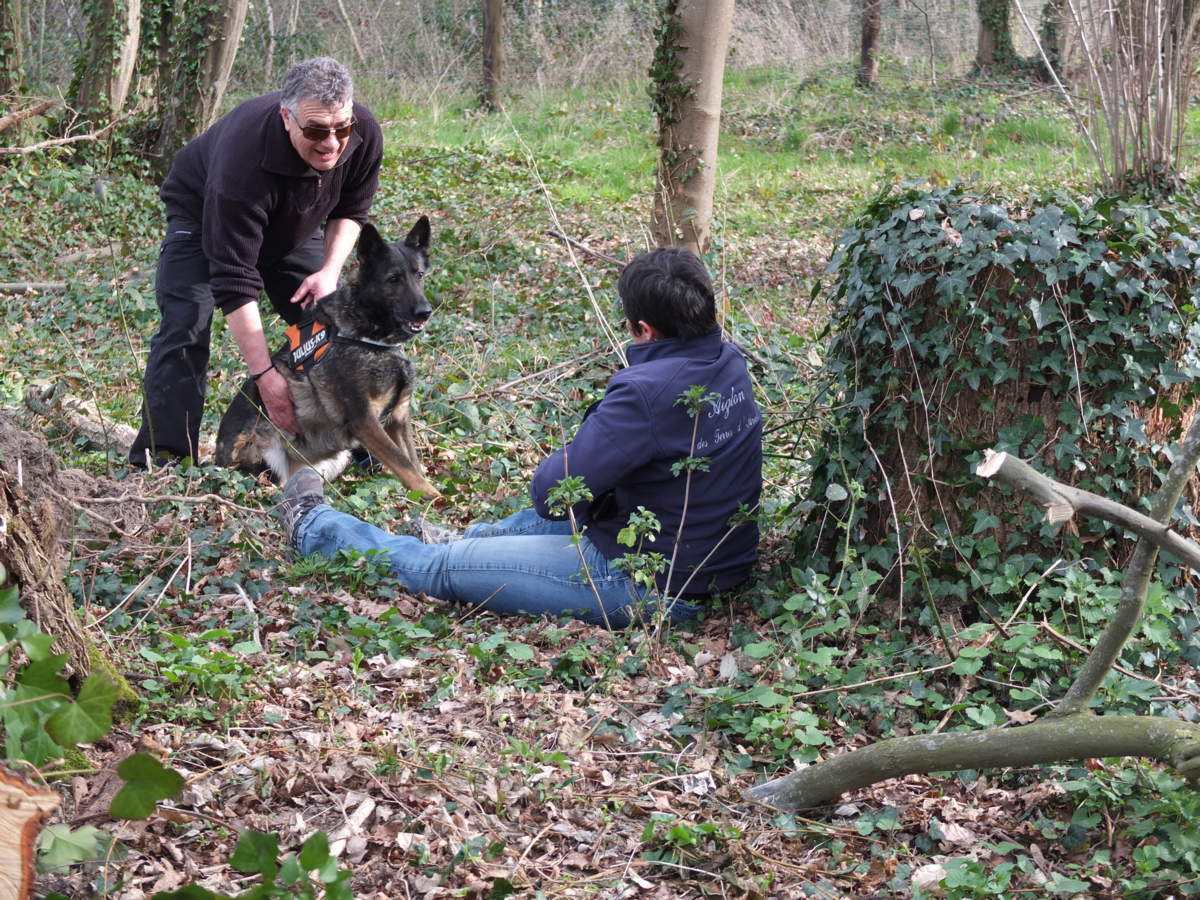 concours chien recherche campagne Brières