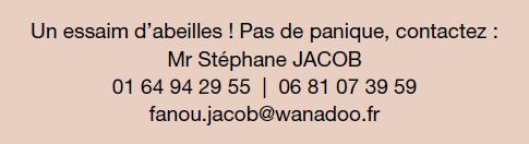 contact essaim abeilles