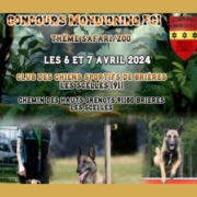 Concours-chien-sportif-Brieres-2024